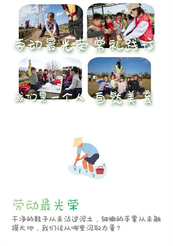 一碗炒飯，一日農(nóng)民，一種感恩。(圖1)