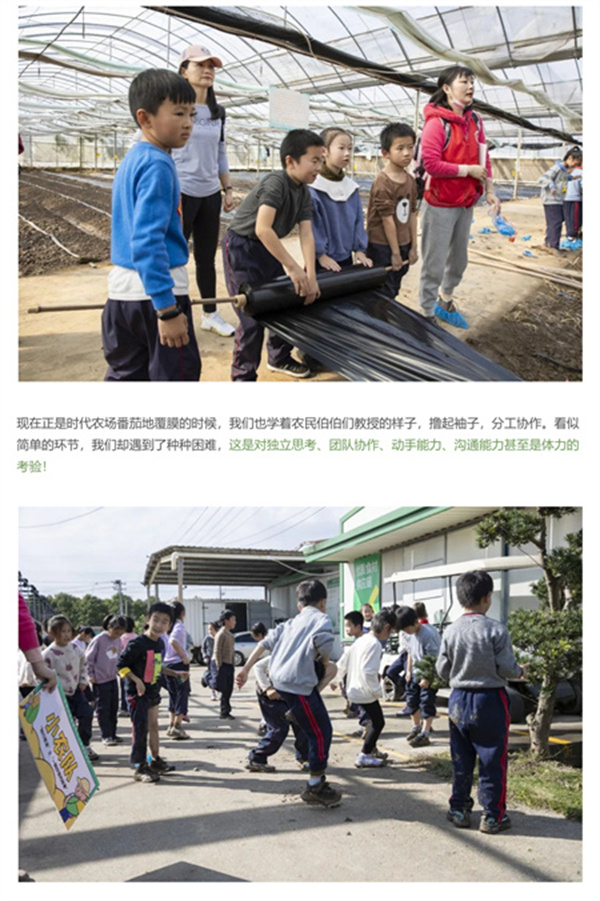 一碗炒飯，一日農(nóng)民，一種感恩。(圖6)
